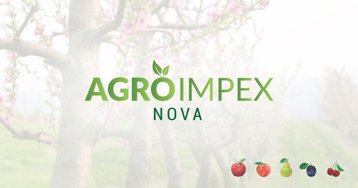 Storage Agro Impex Nova Ltd